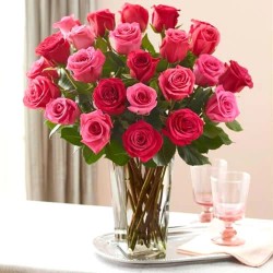 Pink and Red roses in glass vase